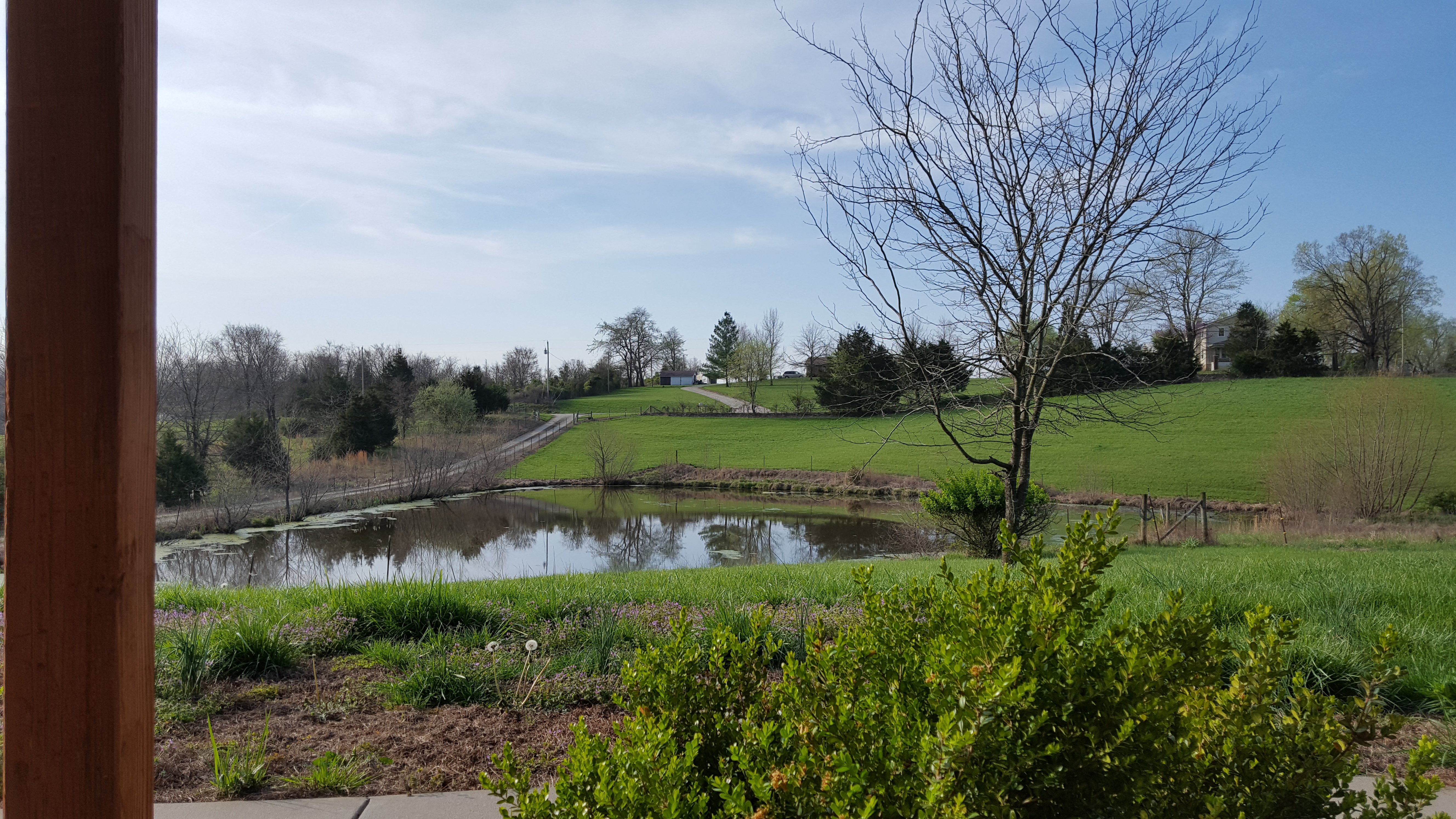 porch view of pond