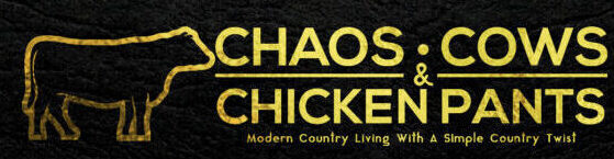 Chaos, Cows and Chicken Pants